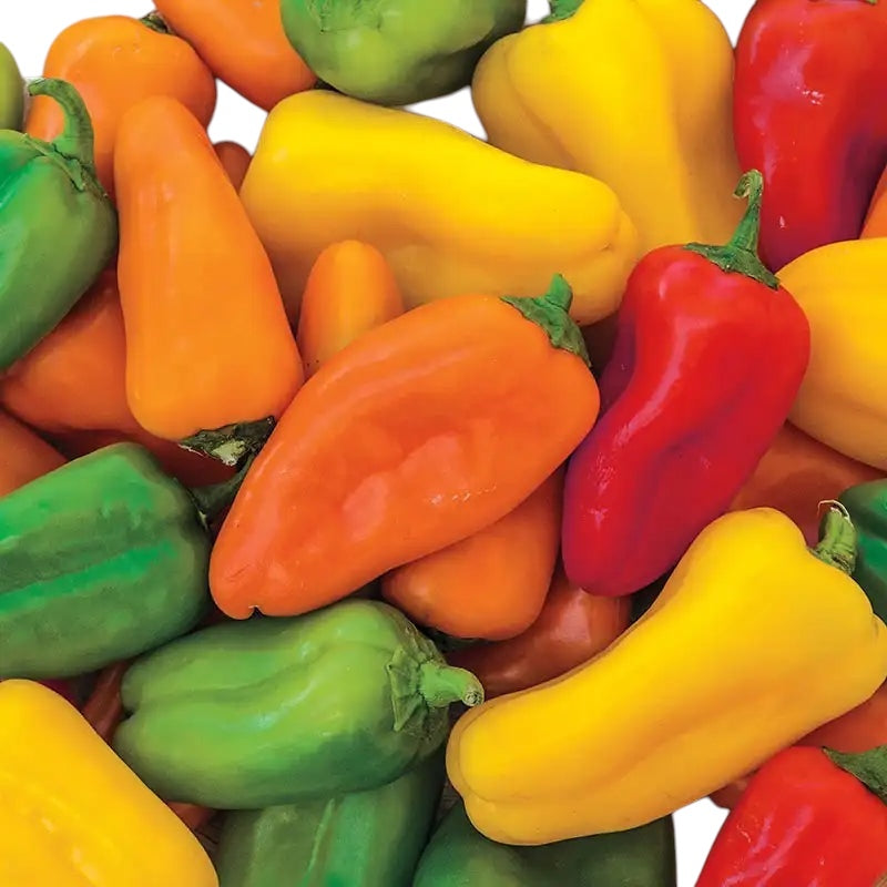 Sweet Mini Bell Peppers Garden Seeds