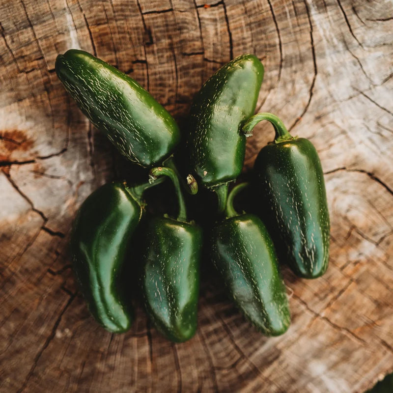 Jalapeño Garden Seeds