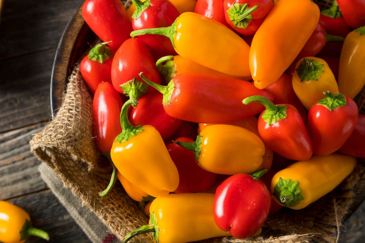 Sweet Mini Bell Peppers Garden Seeds
